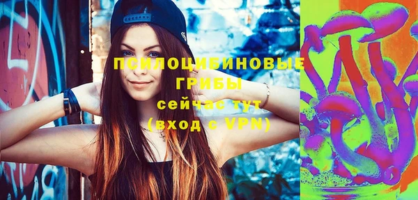 стаф Баксан