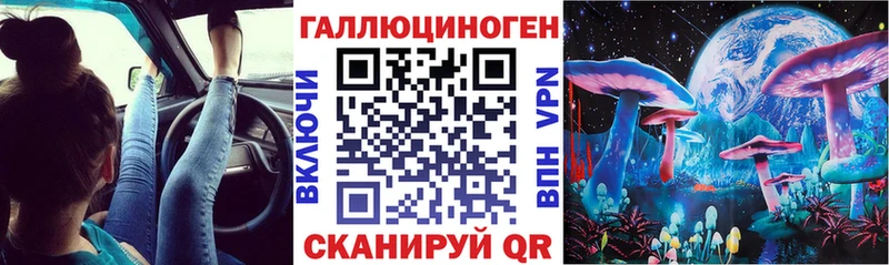 Псилоцибиновые грибы GOLDEN TEACHER блэк спрут Баксан