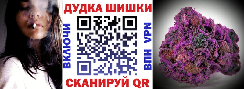 Бошки Шишки марихуана Баксан